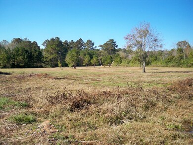 82 Bear Pen Creek Rd, Laurel, MS 39443 - photo 4