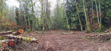 210 Vermillion Rd, Chehalis, WA 98532 - photo 6