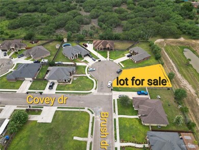 2909 Brush Dr, Weslaco, TX 78599 - photo 5