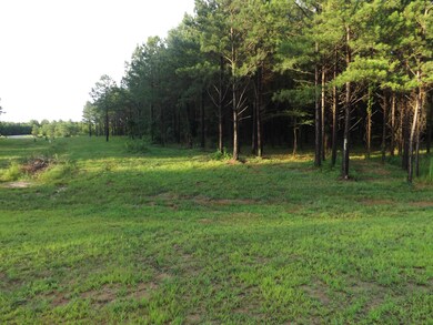 View #4