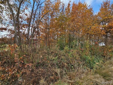 620 County Rd, Broseley, MO 63932 - photo 5