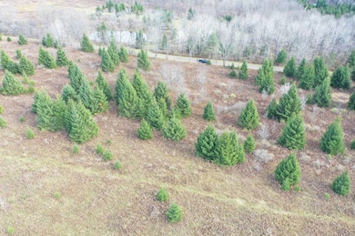 0WP Wothe-Freeman Rd, Deruyter, NY 13052 - photo 5