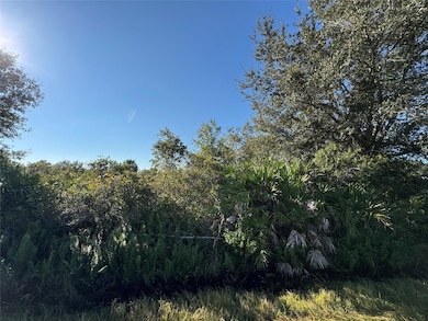 14928 260th St, Okeechobee, FL 34972 - photo 3