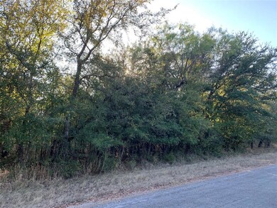 39183 Misty Ridge Dr, Whitney, TX 76692 - photo 5