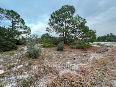 605 Avalon Ln, Lake Placid, FL 33852 - photo 3