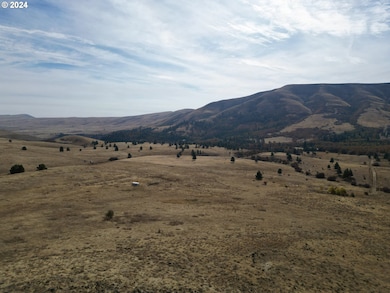 49 Restful Haven Dr, Lyle, WA 98635 - photo 7