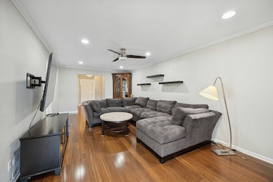 Canned lighting & crown molding