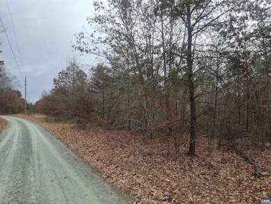 0 Indian Pipe Run, Palmyra, VA 22963 - photo 5