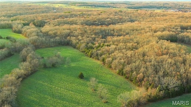 0 Missouri Hh, Salem, MO 65560 - photo 4