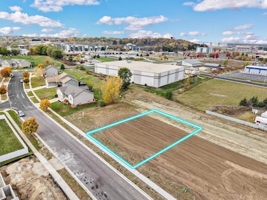 208 Michelle Ln, Cottage Grove, WI 53527 - photo 4