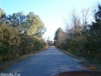 21 Blake Ln, Conway, AR 72032 - photo 4