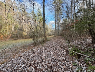 00 Shuler Mountain Rd, Murphy, NC 28906 - photo 7