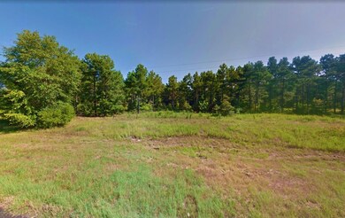 Cherokee Trail, Jefferson, TX 75657 - photo 3