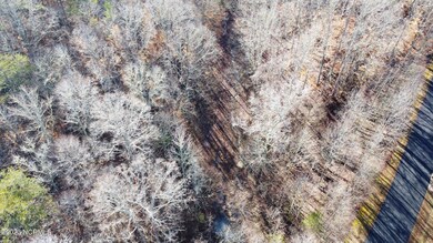 DJI_0235