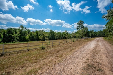 247 Blooming Dogwood Rd, Moscow, TX 75960 - photo 4
