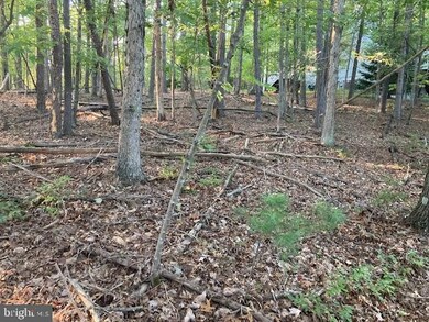 0 Nelson Way unit VASH2001076, Basye, VA 22810 - photo 2