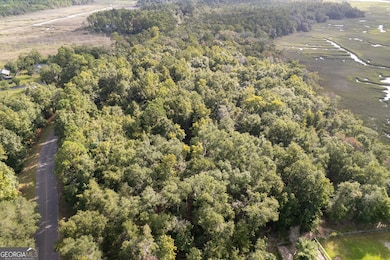 0 Sheffield Island Rd unit 3, Woodbine, GA 31569 - photo 5