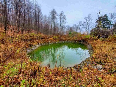 1730 Kittridge Pasture Rd, Reading, VT 05062 - photo 2