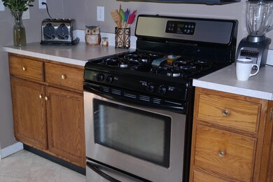 135 N Fairview Ave, Niles, MI 49120 - photo 7