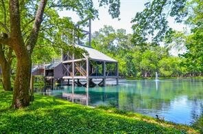 87 Litchfield Ln, Houston, TX 77024 - photo 4