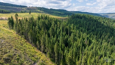 7362 S Dick's Creek Rd, Kendrick, ID 83537 - photo 7