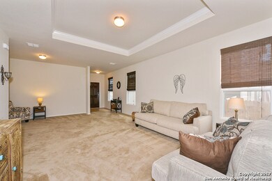 10143 Castello Canyon, San Antonio, TX 78254 - photo 5