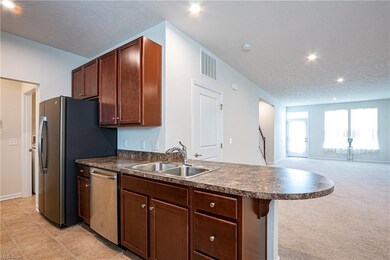 179 Granger Dr, Lagrange, OH 44050 - photo 6