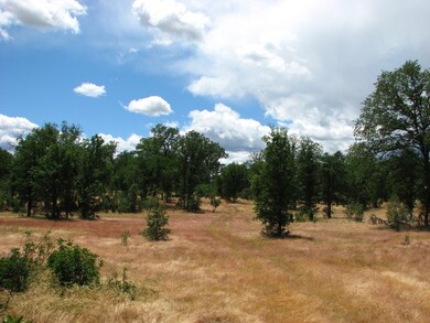 Easement road - Summer