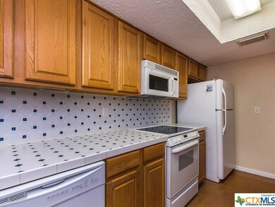 823 Old Ranch Rd, San Marcos, TX 78666 - photo 4