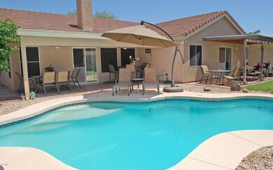 Pool & Patio