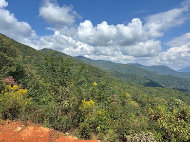 1887 Monteith Branch Rd, Sylva, NC 28779 - photo 3