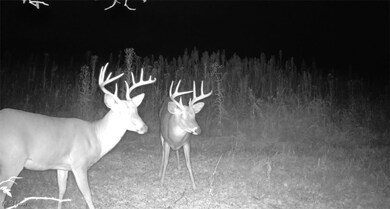 0 Emerick Rd, Franklin Township, OH 44427 - photo 5