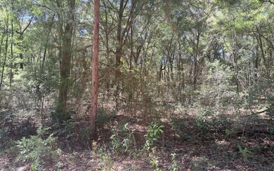 TBD 39th Ln, Branford, FL 32008 - photo 6