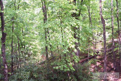 Additional View 2