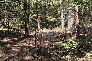 TBD5 County Rd 141, Callisburg, TX 76240 - photo 7