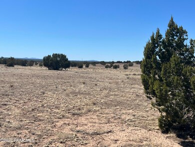 13 SW Chain Ranch, Ash Fork, AZ 86320 - photo 7