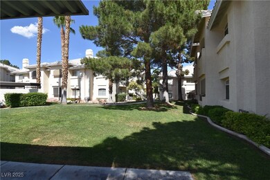 View of grassy yard