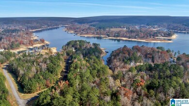 0 Long Point Rd unit 21437458, Double Springs, AL 35553 - photo 6