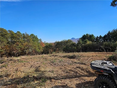 00 Whitaker Chapel Rd unit 10, Pilot Mountain, NC 27041 - photo 3