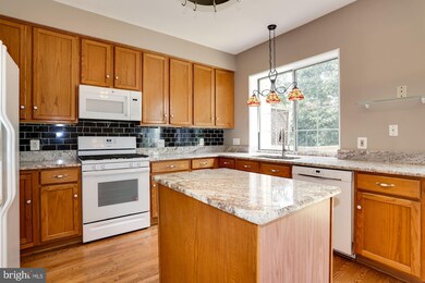 5137 Beauregard St, Alexandria, VA 22312 - photo 5