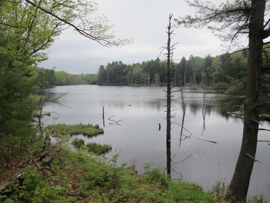 Royal Pond