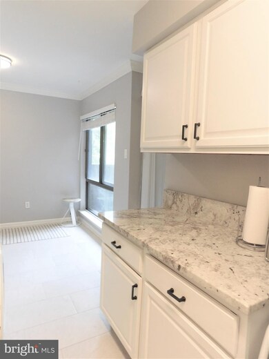 Chestnut Grove Condominiums unit 11244-354, Reston, VA 20190 - photo 4