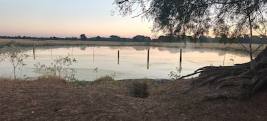 321 Veteran's Memorial Dr, Navasota, TX 77868 - photo 7