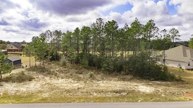 Brushed Dune Circle, Freeport, FL 32439