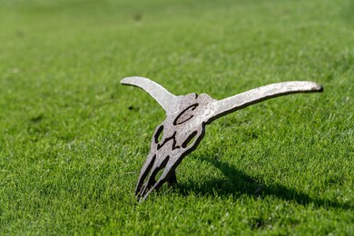 4258 True Blue Ct, Mount Pleasant, SC 29429 - photo 3