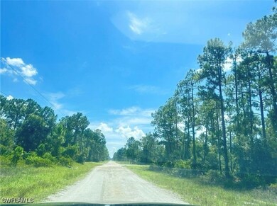 1005 W 18th St, Lehigh Acres, FL 33972 - photo 6