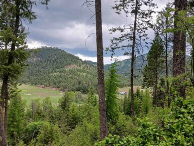 Parcel AB Daisy Mine Rd, Gifford, WA 99131 - photo 2