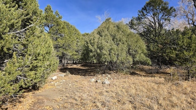 126 Cedar Ridge Rd unit 2, Mosca, CO 81146 - photo 3