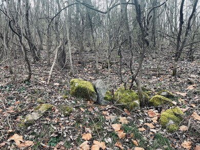 823CFA62-426F-4C35-A00F-6594EE1E9CB8