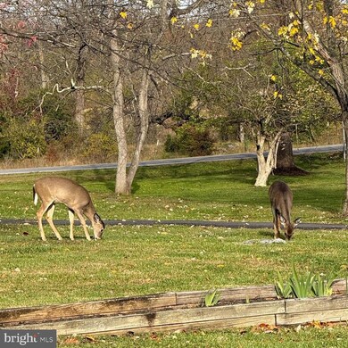 3622 Summit Point Rd, Charles Town, WV 25414 - photo 4